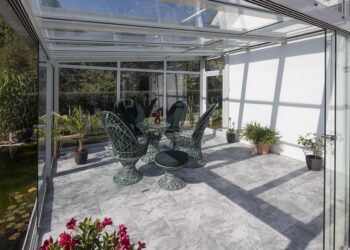 Rośliny do ogrodu zimowego