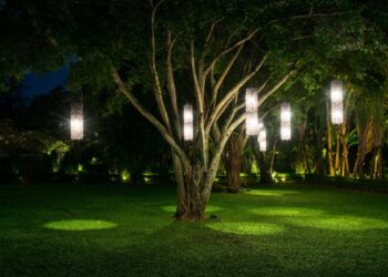 Jak w oryginalny sposób podświetlić ogród z wykorzystaniem lamp LED?