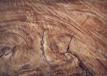 Ciekawe produkty z drewna do kuchni – te propozycje Cię zachwycą