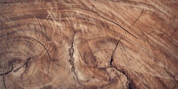 Ciekawe produkty z drewna do kuchni – te propozycje Cię zachwycą